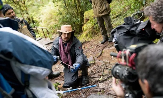 cay co thu gia nhat anh 2