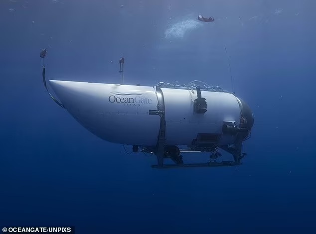 Ty phu Anh, cha con ty phu Pakistan da co mat tren chiec tau ngam hinh anh