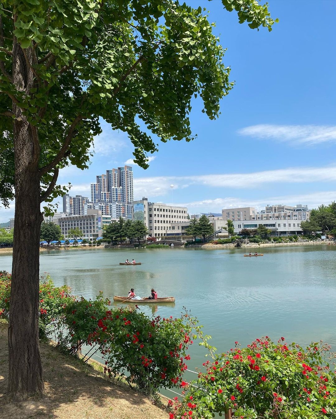 trường đại học Hàn Quốc ảnh 2 truong dai hoc Han Quoc anh 2