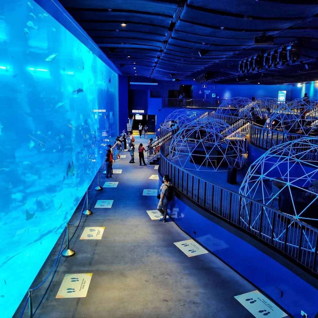 bua toi cung sinh vat bien anh 1