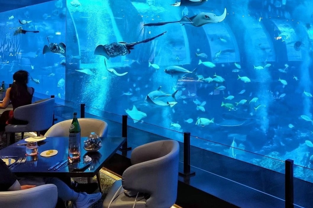 An toi cung sinh vat bien o Singapore hinh anh