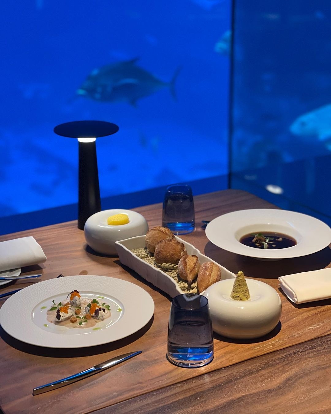 bua toi cung sinh vat bien anh 4