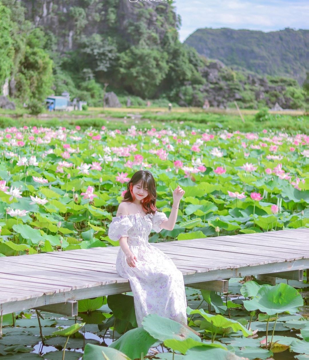 sen Ninh Binh anh 12