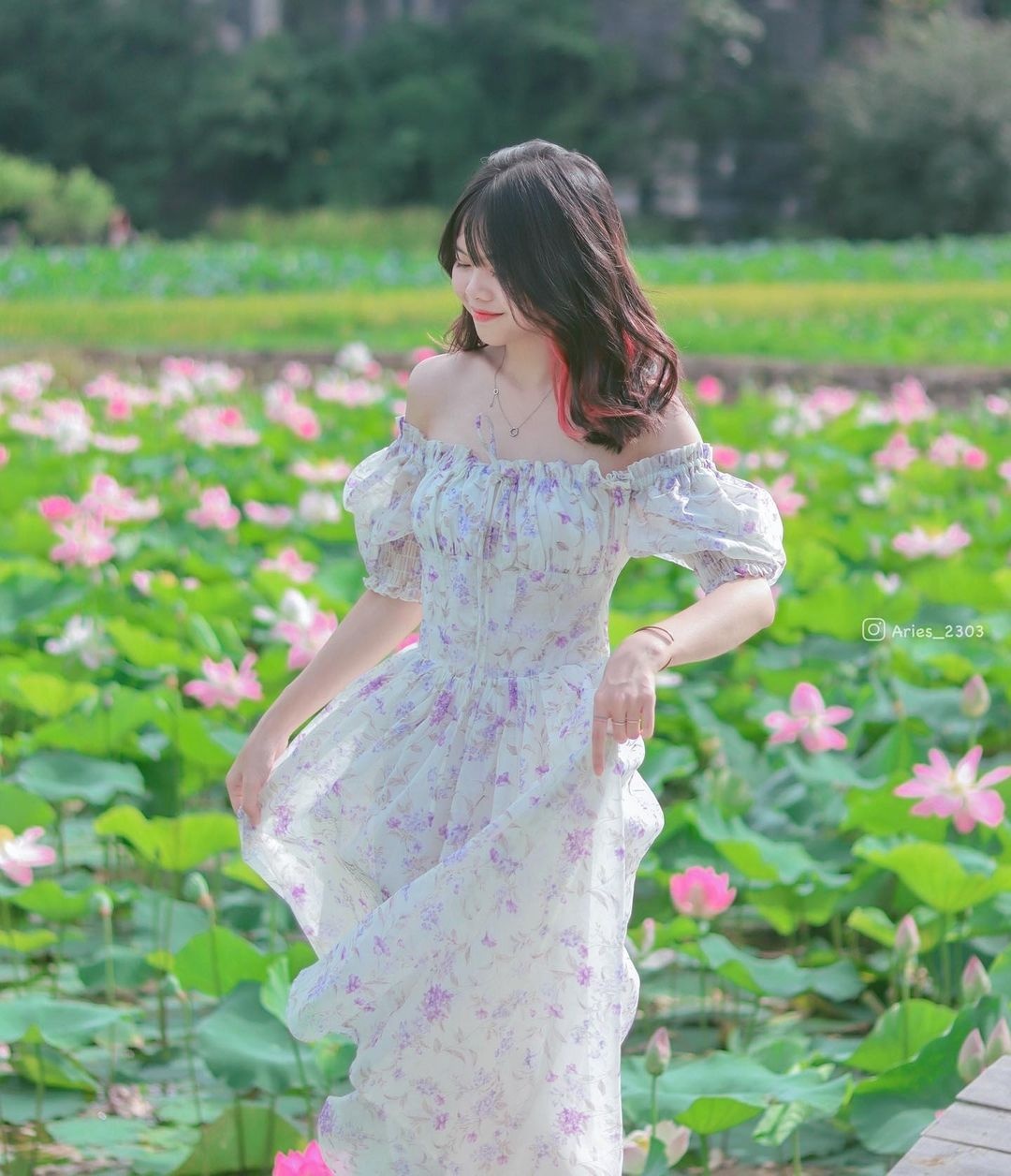 sen Ninh Binh anh 11