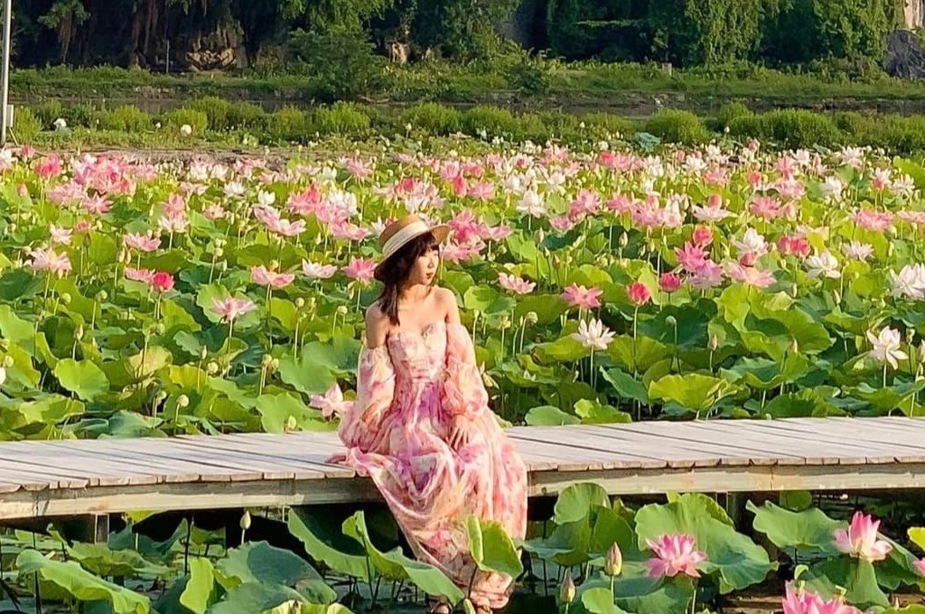 Check-in mua sen o Ninh Binh hinh anh