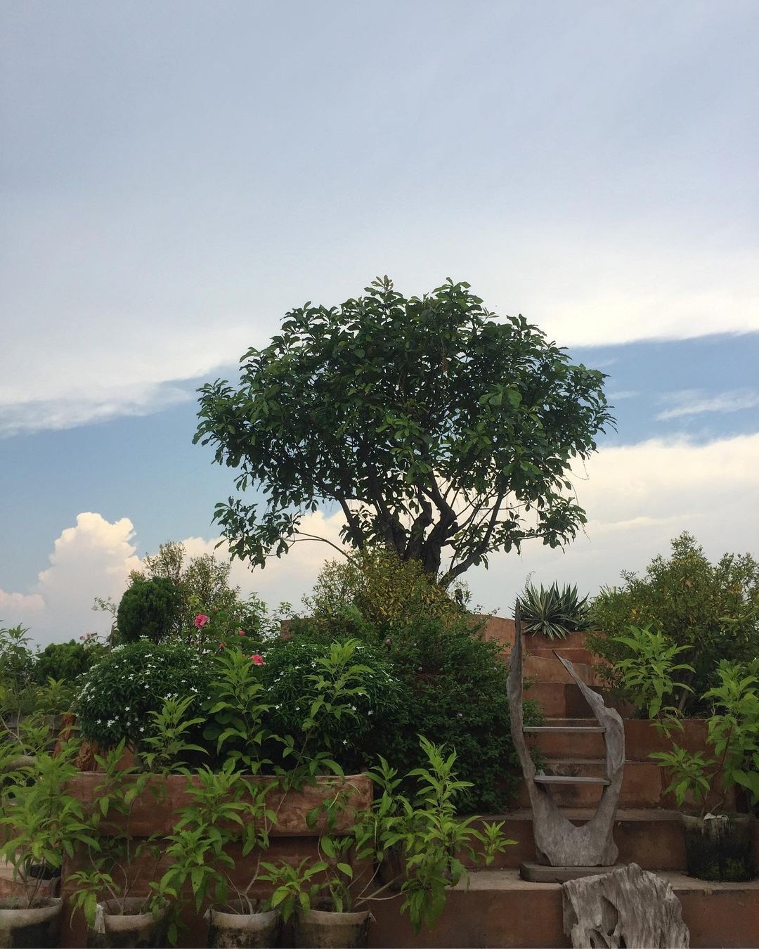 Bảo tàng gốm ảnh 17 Bao tang gom anh 17