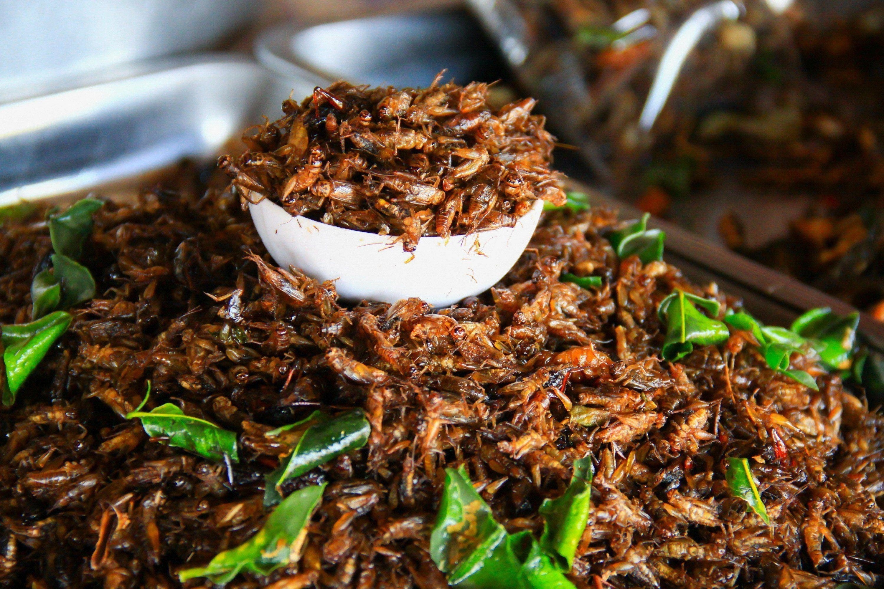 5 mon an it nguoi biet o Philippines hinh anh