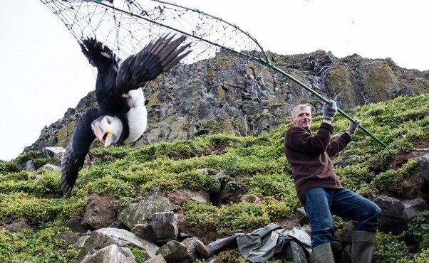 goi tim hai au anh 3