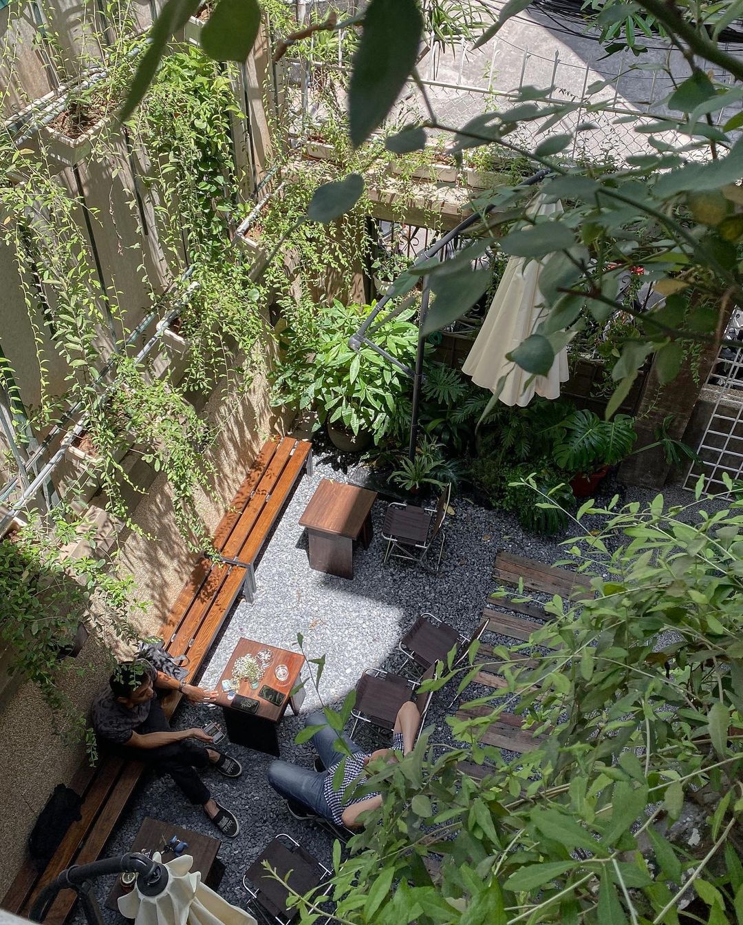 cà phê sân vườn ảnh 2 ca phe san vuon anh 2