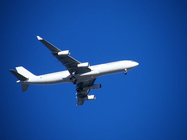 lua dao du lich anh 2