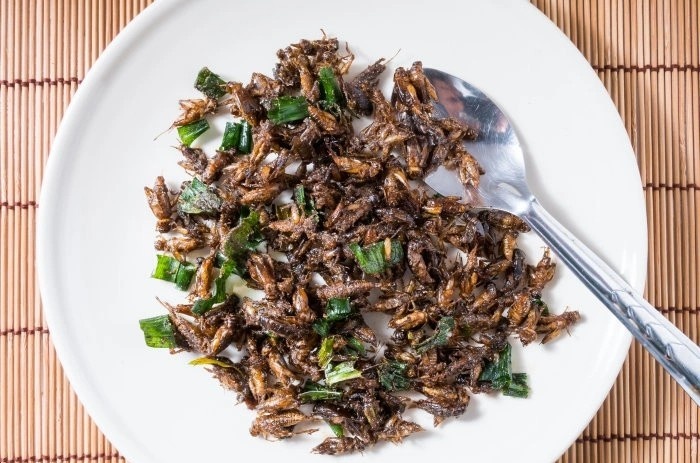 Hang bay Nhat Ban phuc vu mon an tu de hinh anh