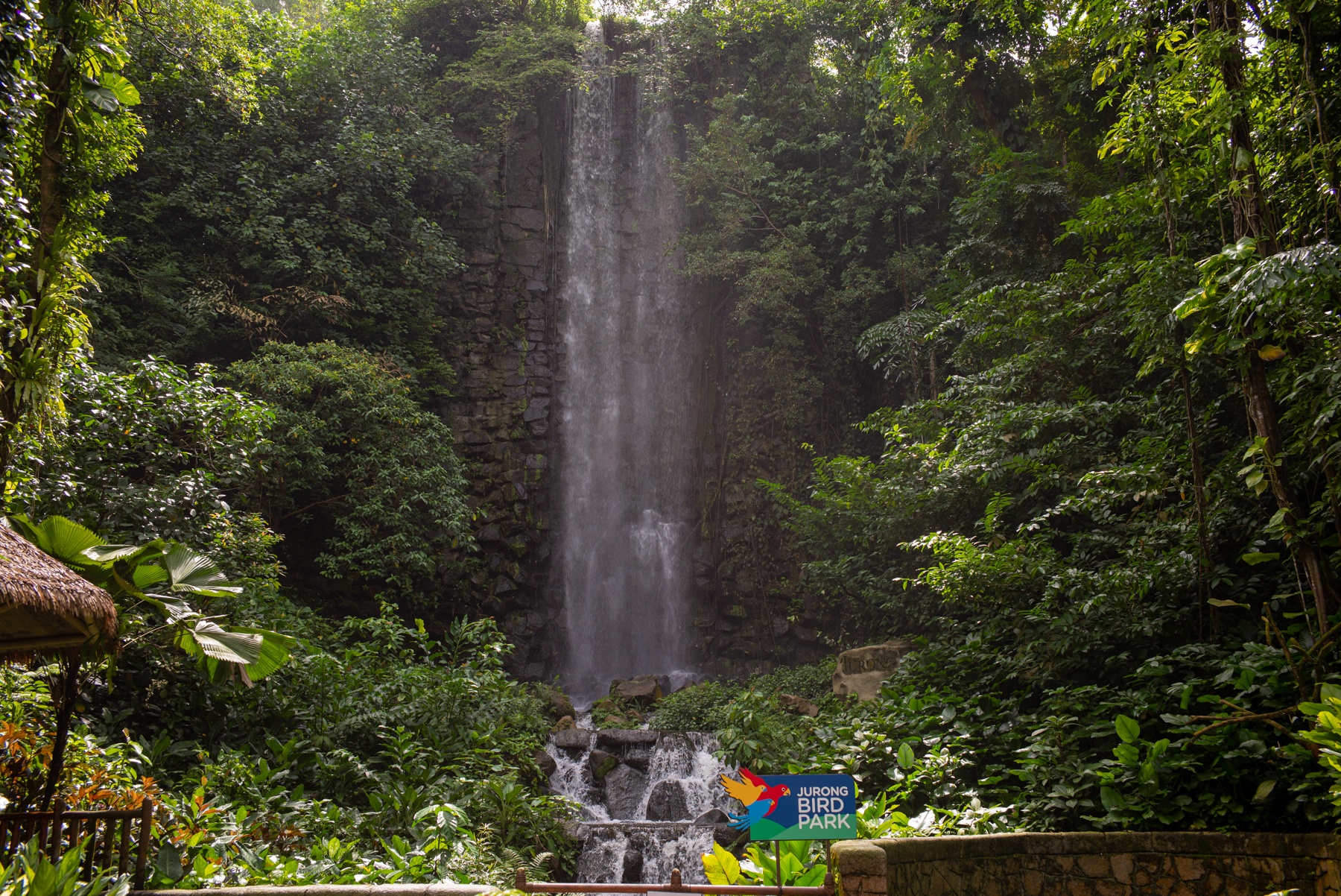 vuon chim chau A anh 2