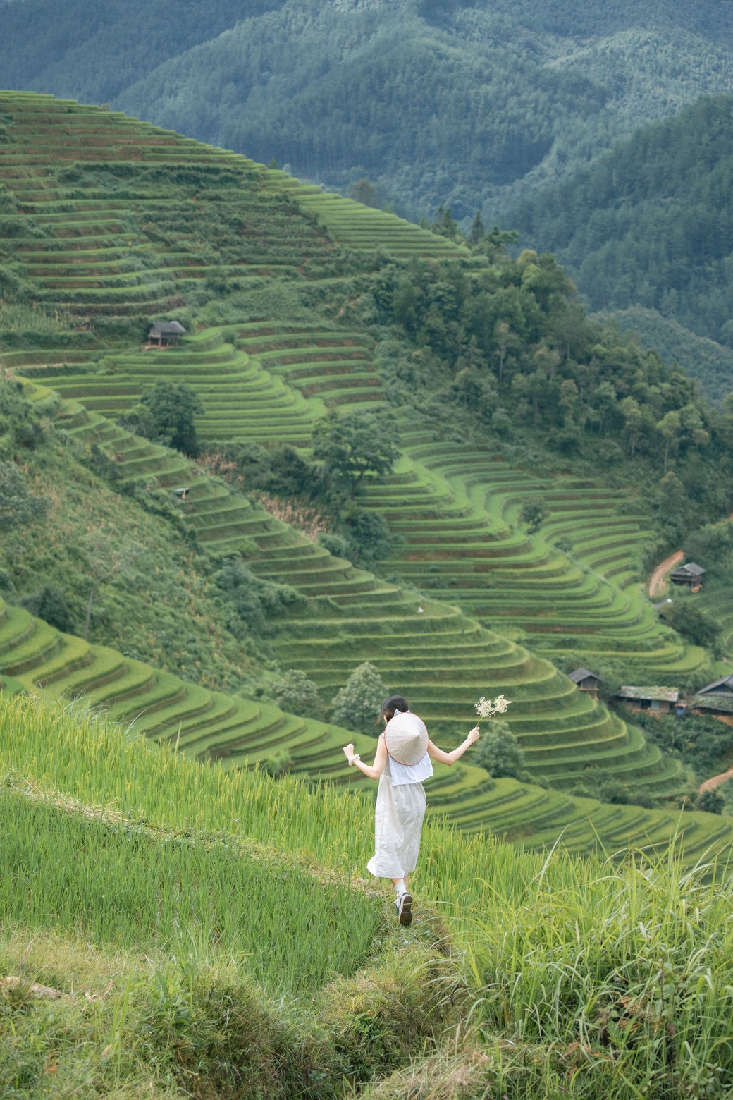 Mu Cang Chai anh 2
