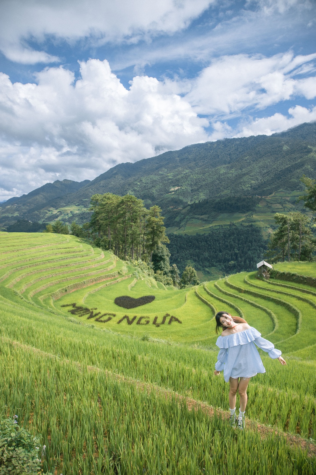 Mu Cang Chai anh 5