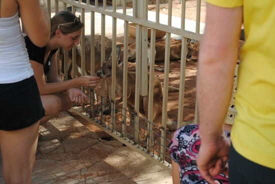 thị trấn dưới lòng đất ảnh 6 thi tran duoi long dat anh 6