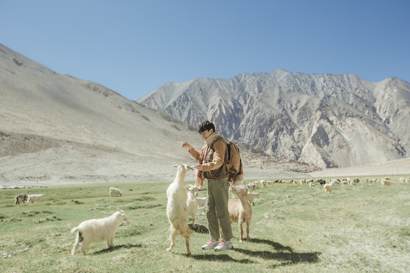 vùng đất Ladakh ảnh 13 vung dat Ladakh anh 13