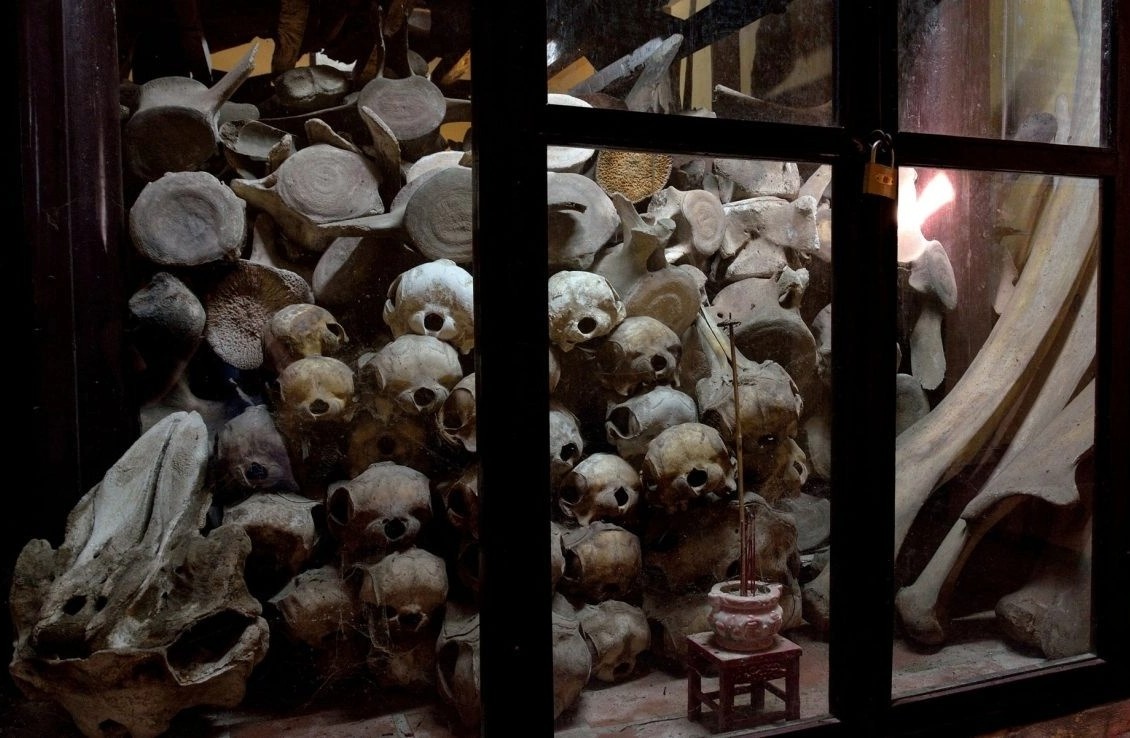 Truyen thong tho ca voi o Viet Nam hinh anh