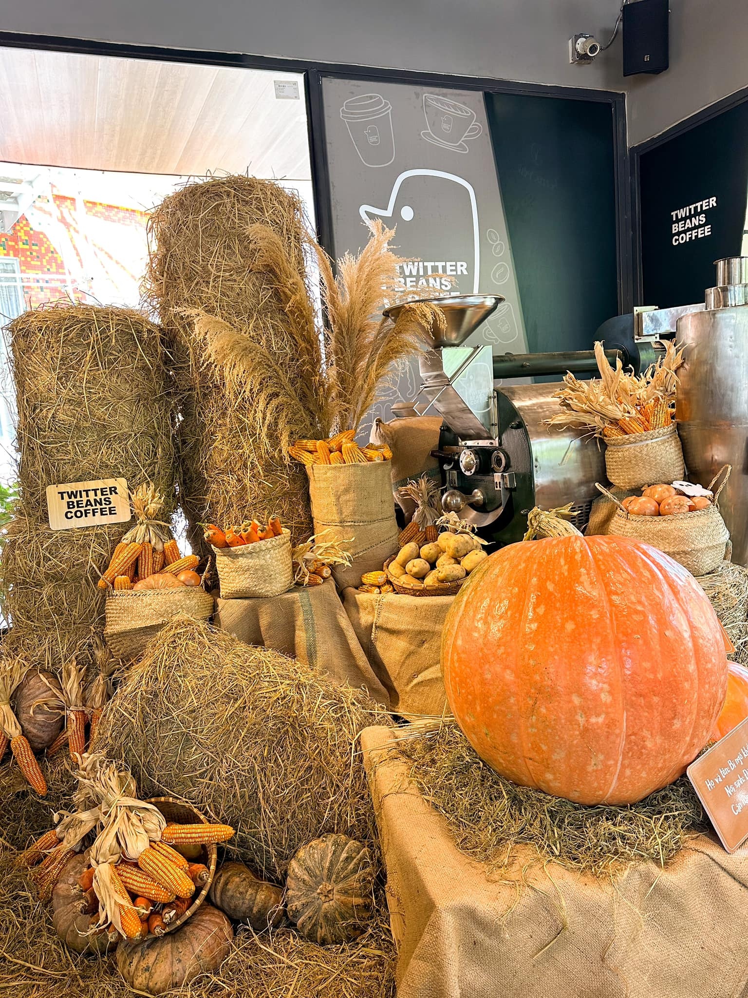 ca phe trang tri Halloween anh 6