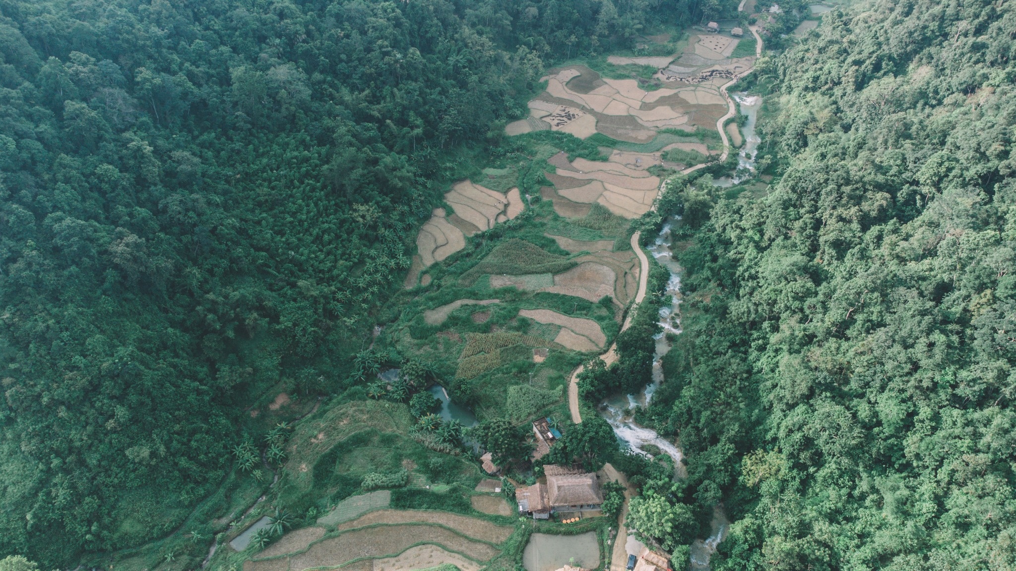 vung nui Dong Bac anh 16