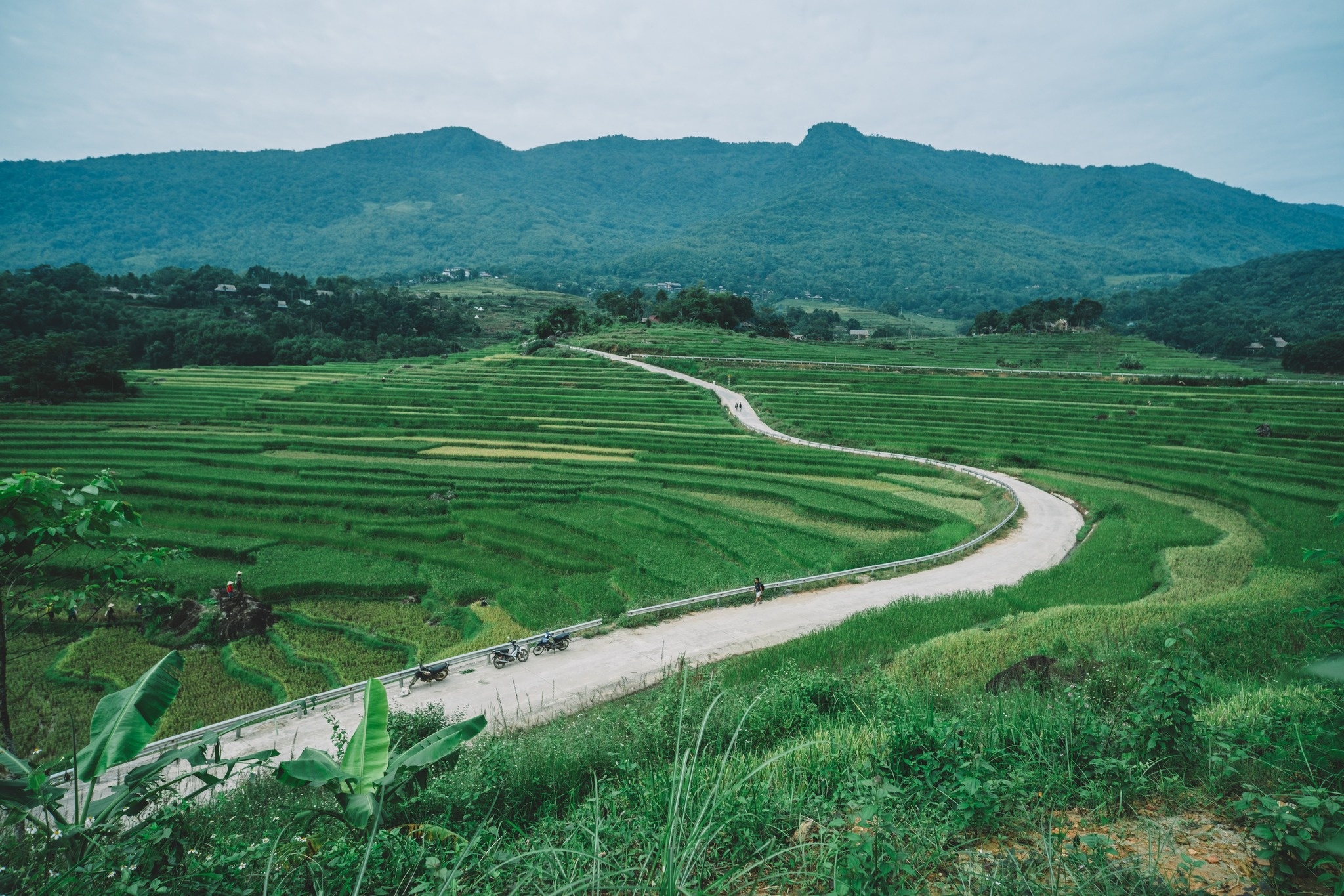 vung nui Dong Bac anh 18
