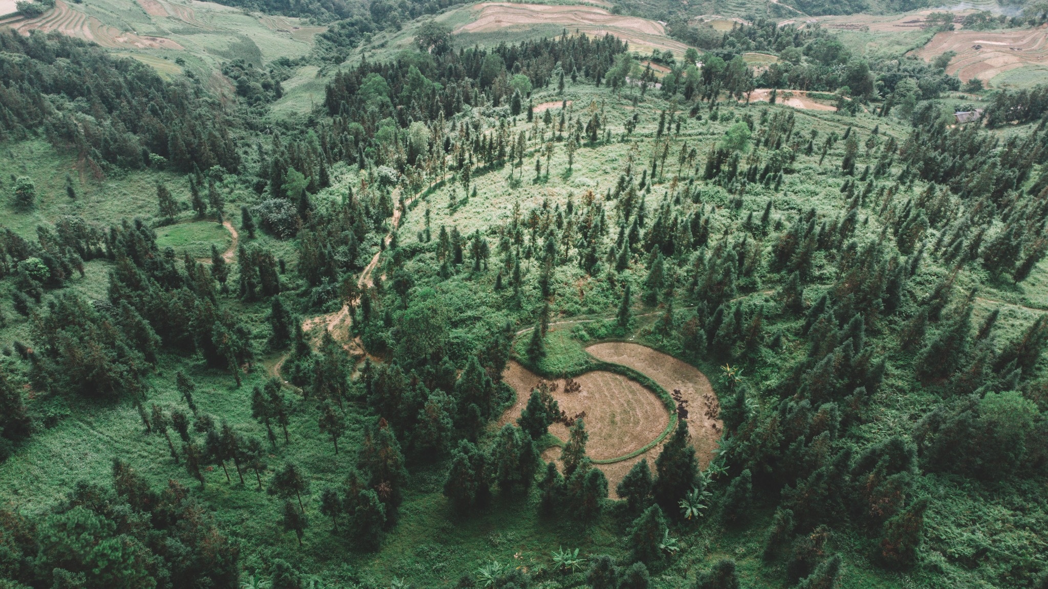 vung nui Dong Bac anh 4