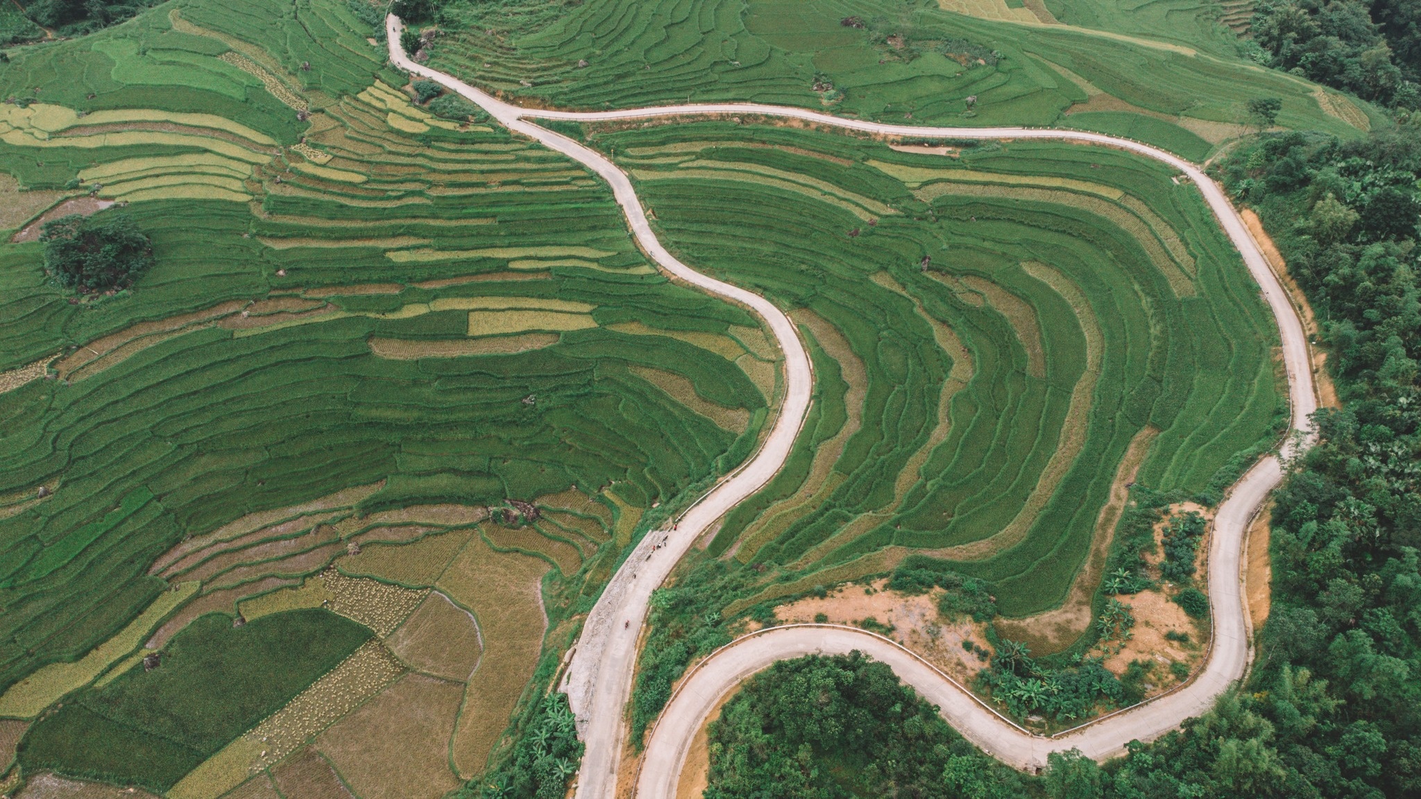 vung nui Dong Bac anh 17