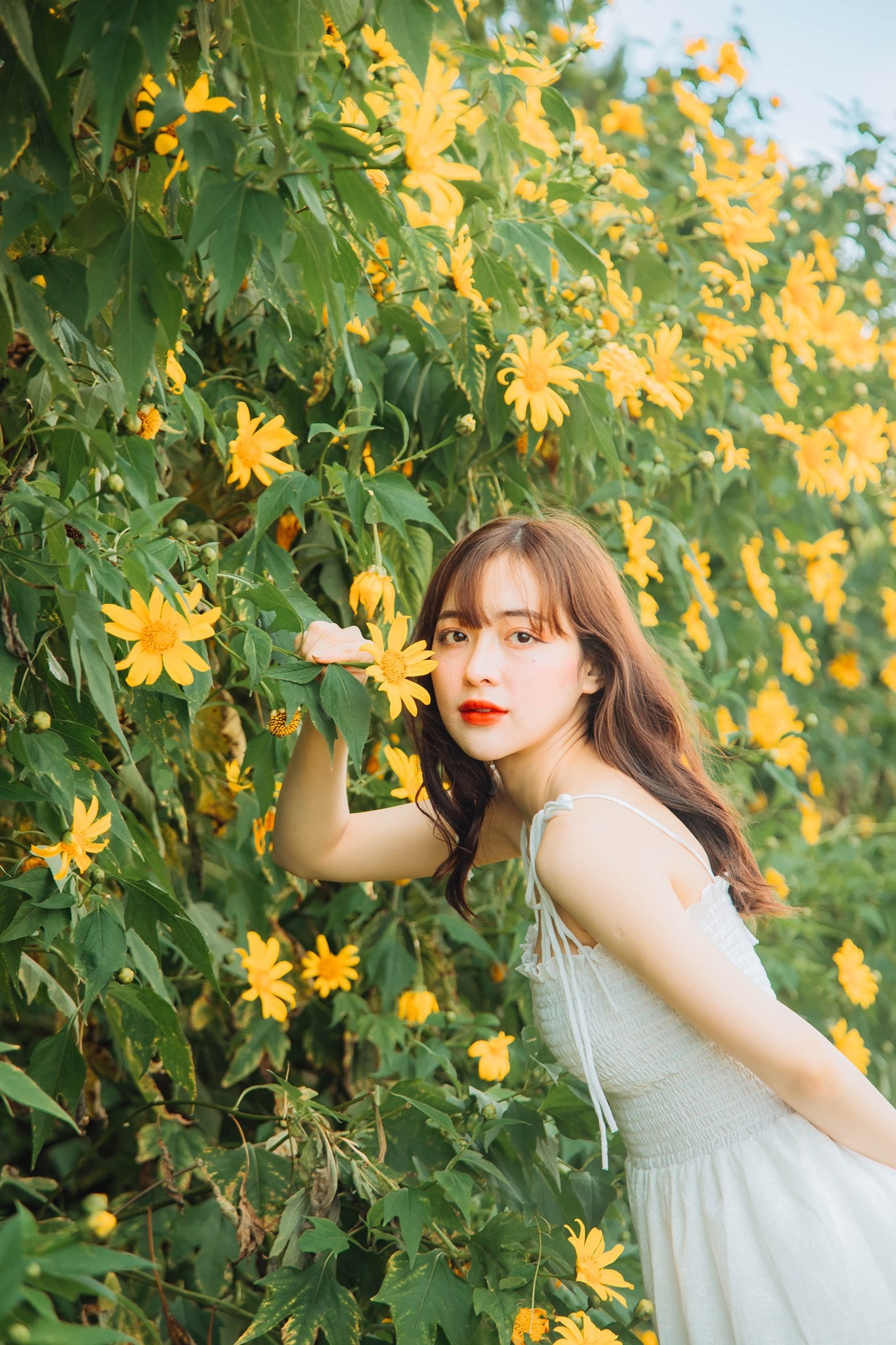 hoa da quy Da Lat anh 3