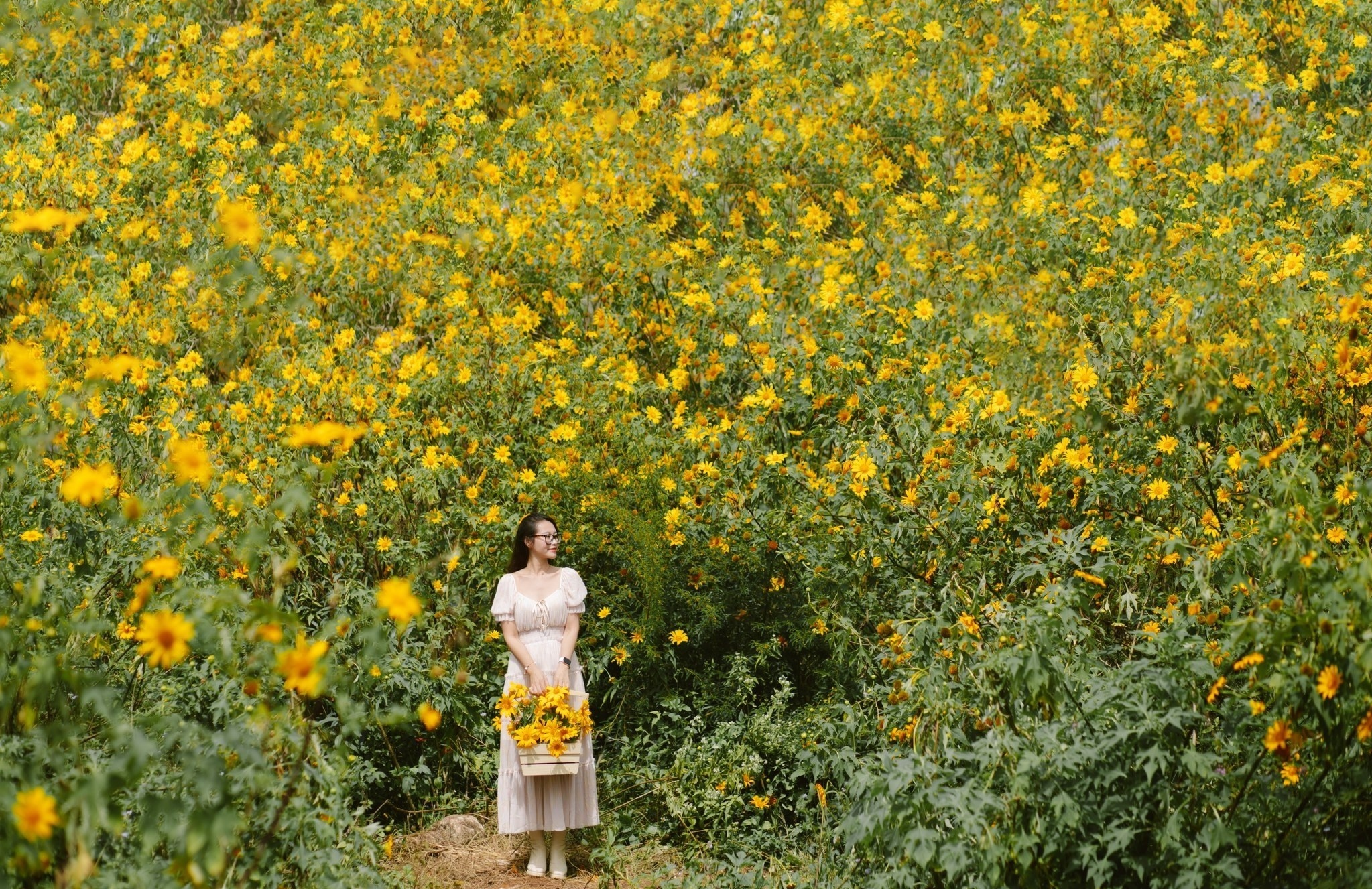 hoa da quy Da Lat anh 1