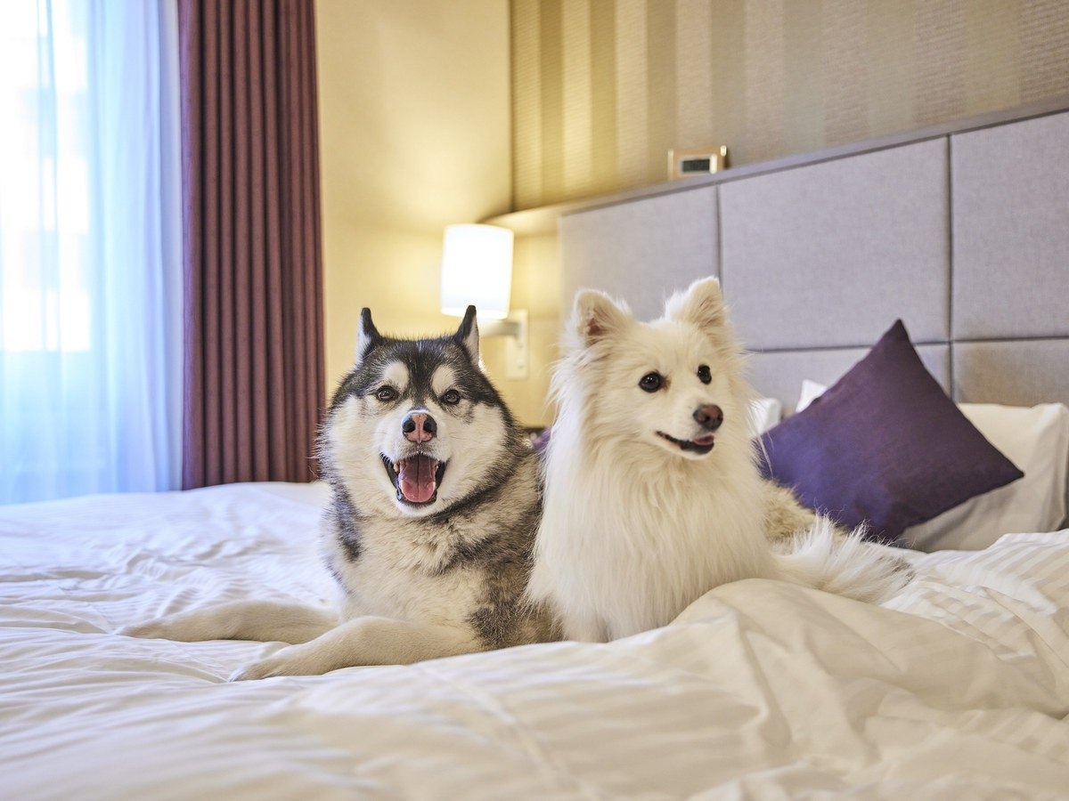 khach san Nhat Ban anh 1