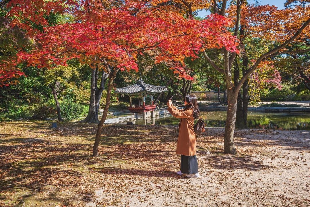 cung dien Han Quoc anh 3