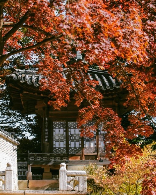 cung dien Han Quoc anh 5