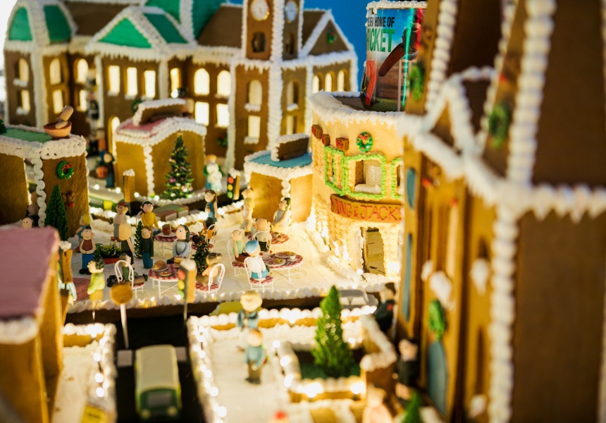 Ngoi lang banh quy gung anh 1