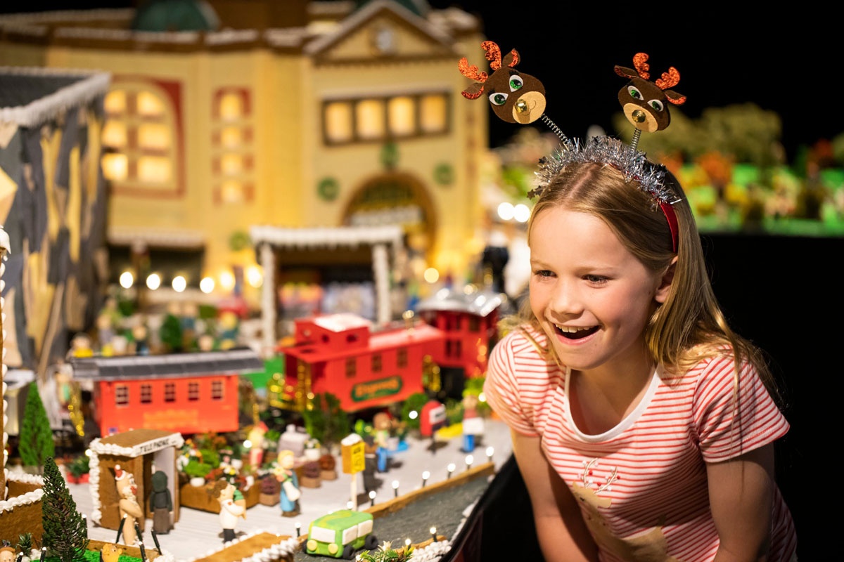 Ngoi lang banh quy gung anh 2