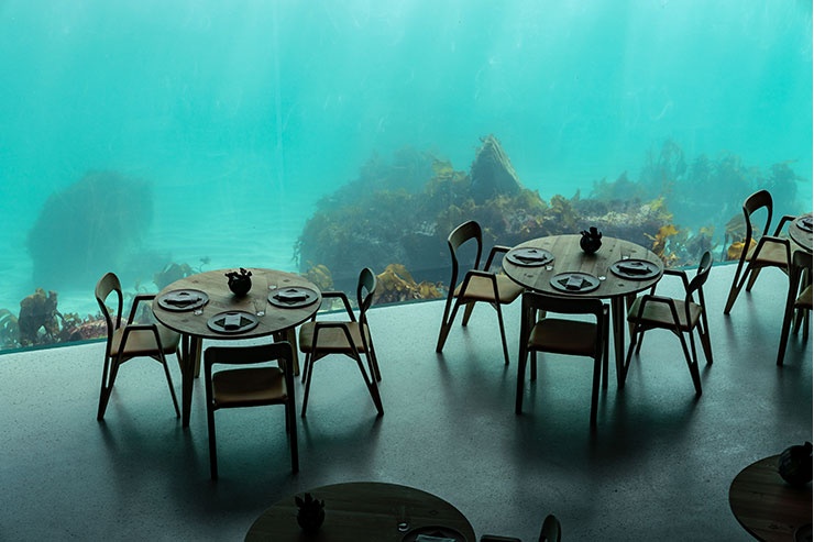 trai nghiem fine dining anh 6