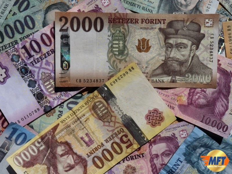 Moi nguy khi dong euro giam manh hinh anh