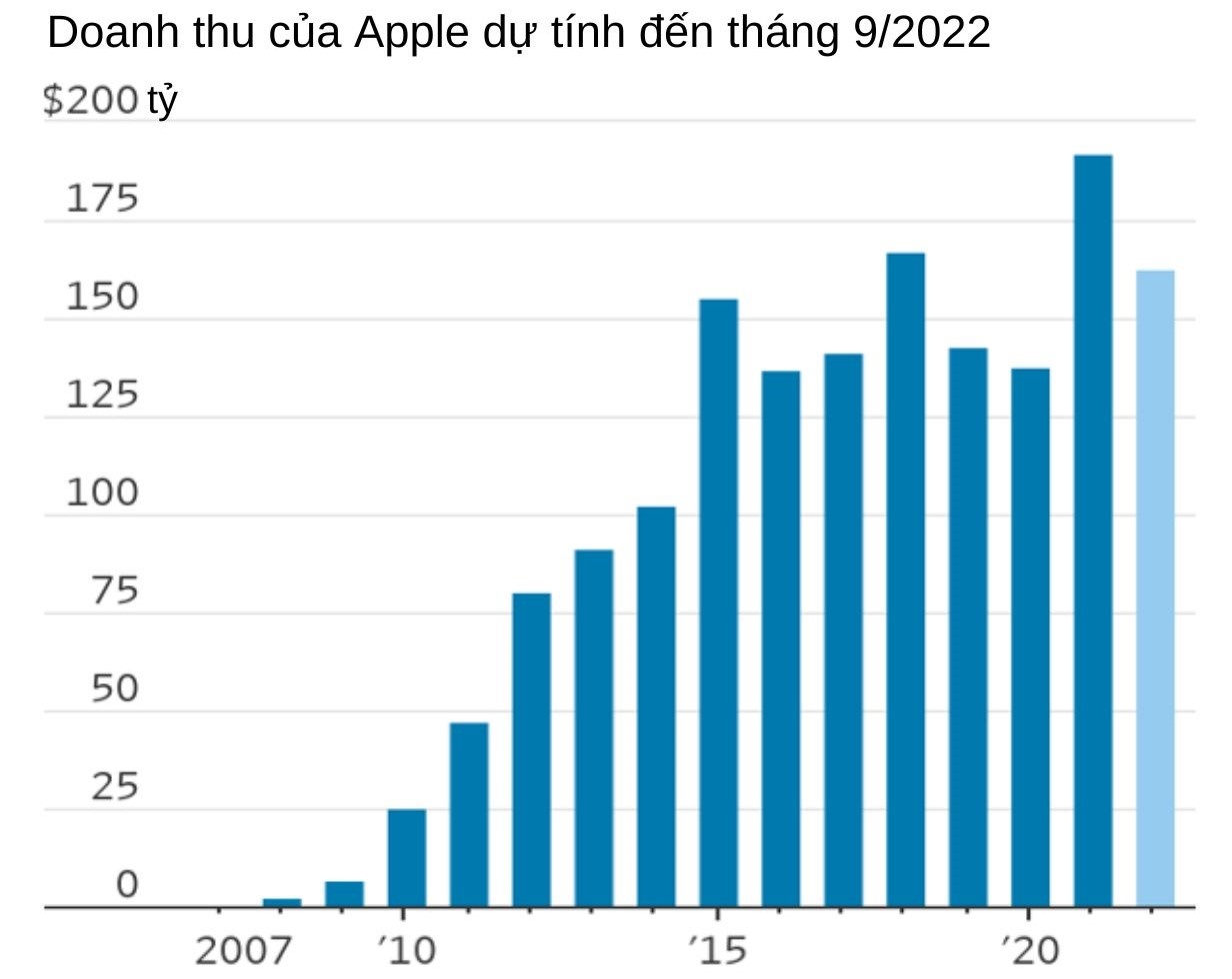 vi dien tu Apple anh 3