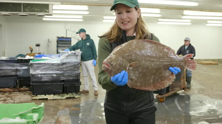 doc lap tai chinh anh 2