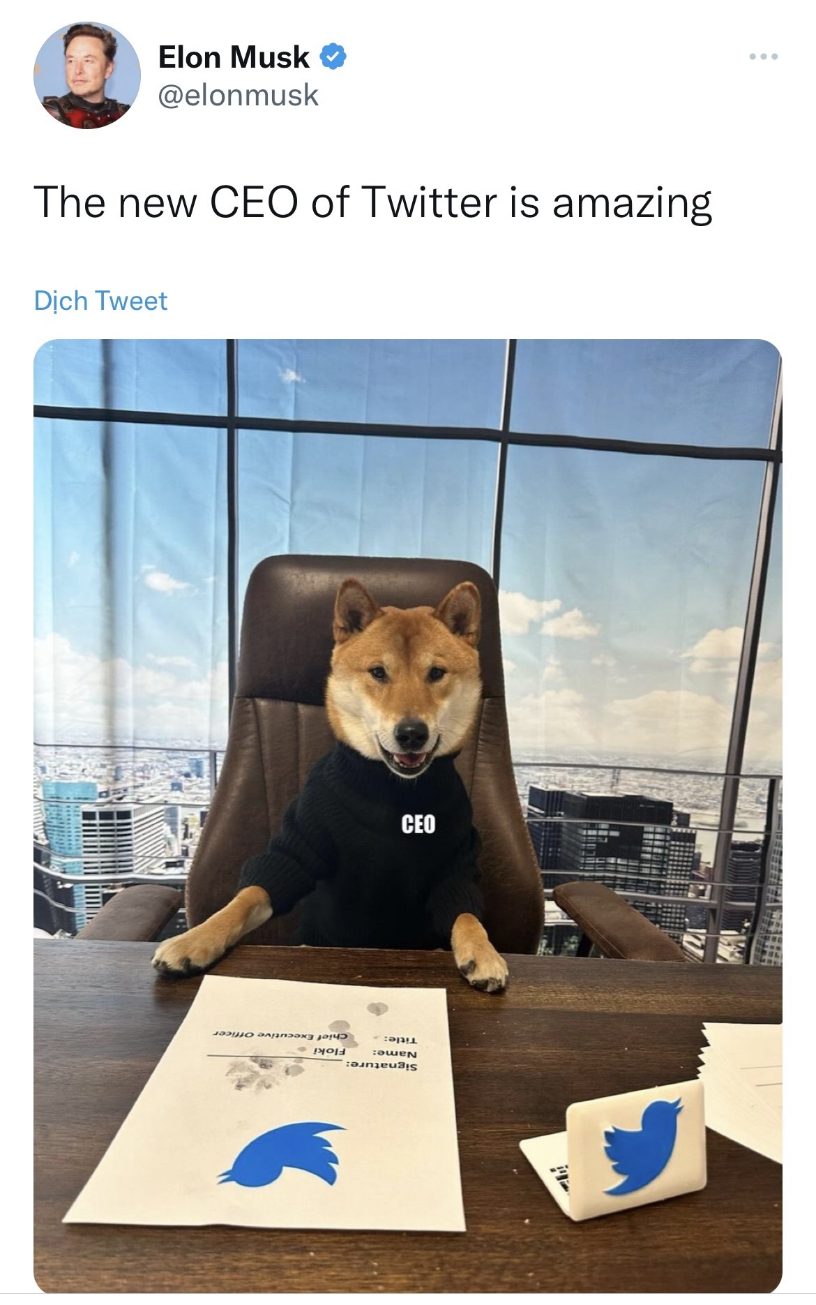 Doge Elon Musk anh 1