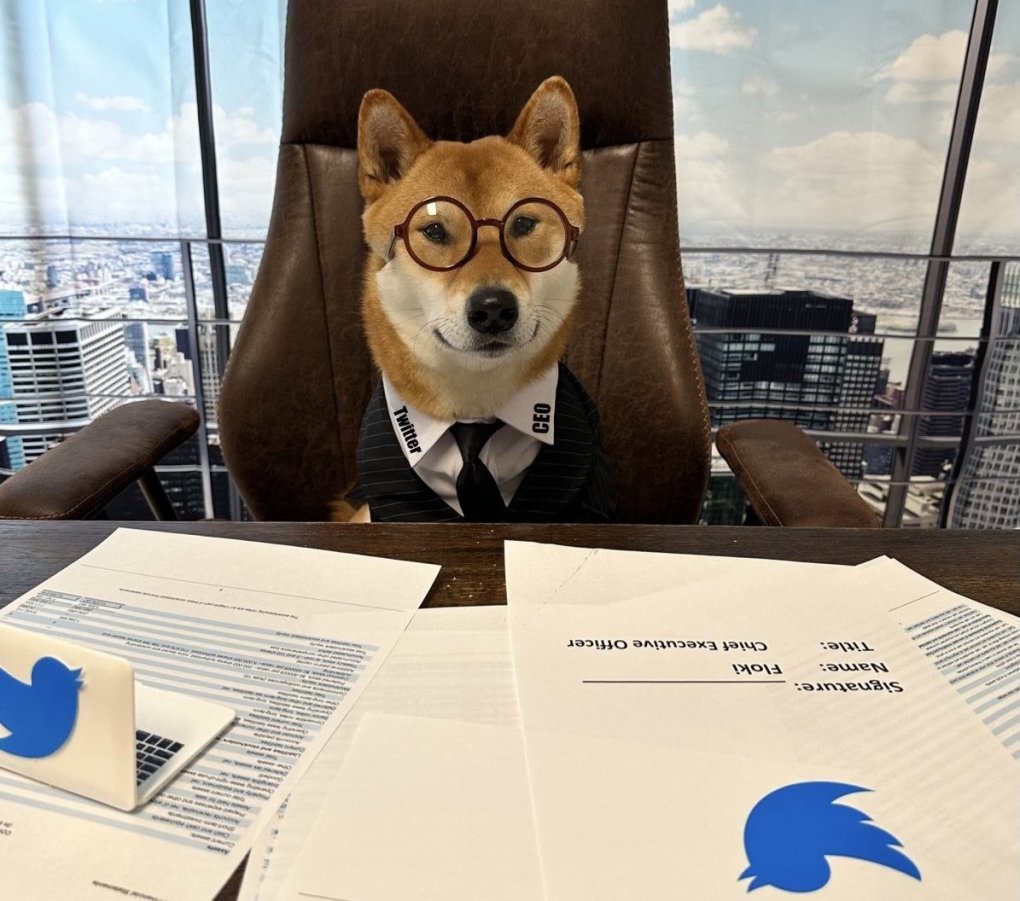 Gia memecoin lai tang vot nho dong tweet cua Elon Musk hinh anh