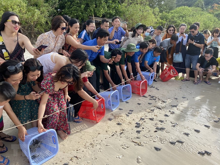 rua bien sinh san anh 10