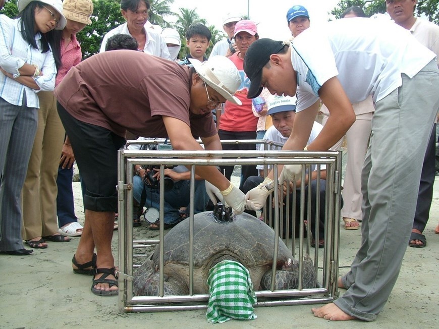 rua bien sinh san anh 4