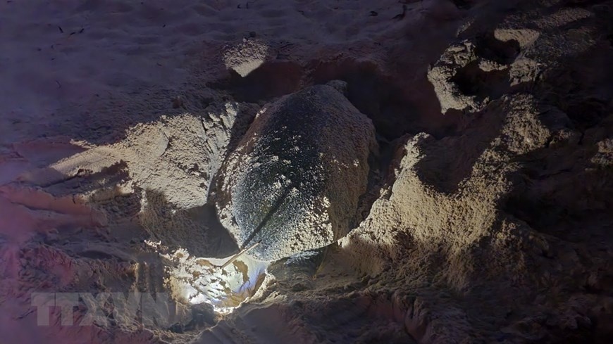 rua bien sinh san anh 7