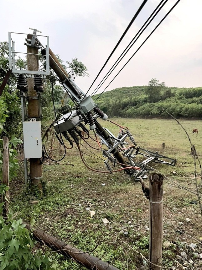 loc xoay Nghe An anh 4