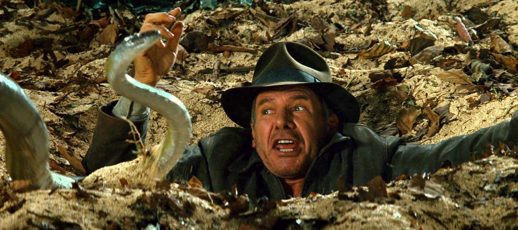 cat,  Hollywood,  phim anh anh 2