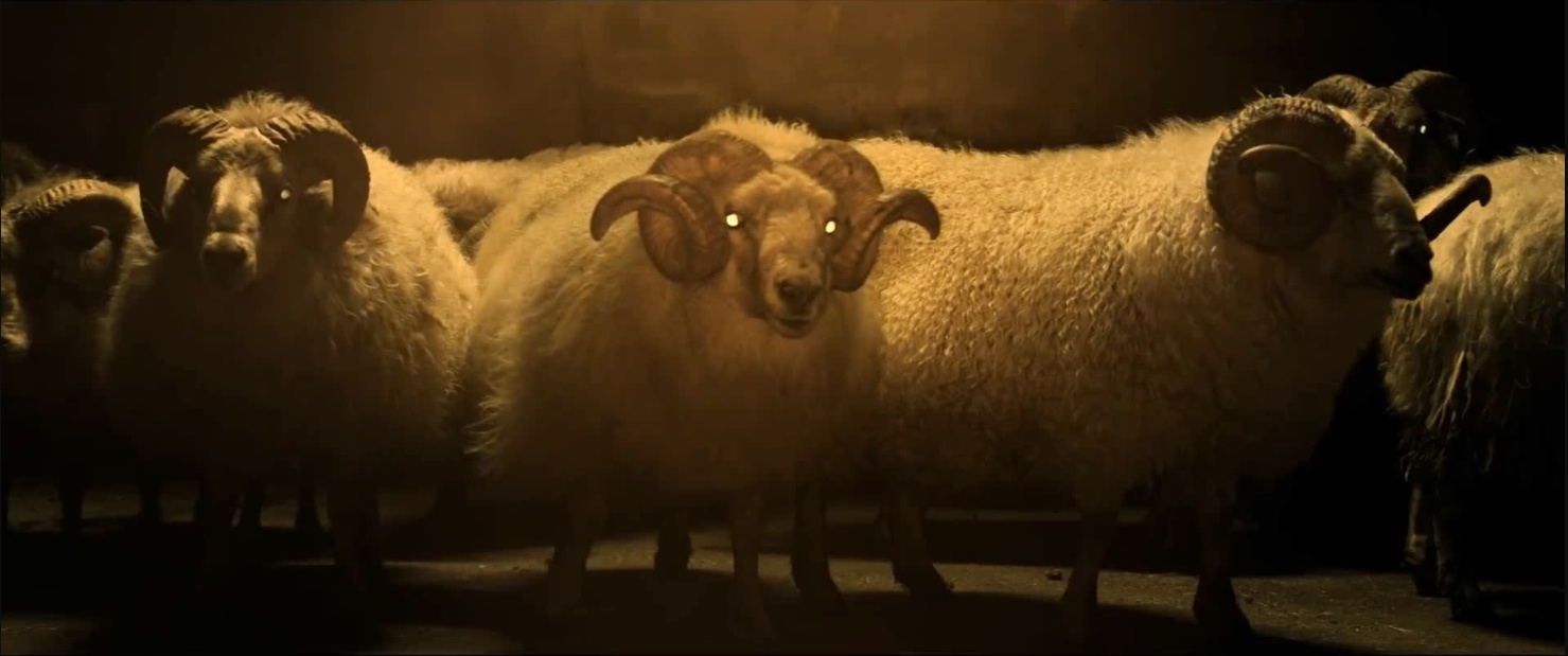 Lamb,  A24,  kinh di anh 4