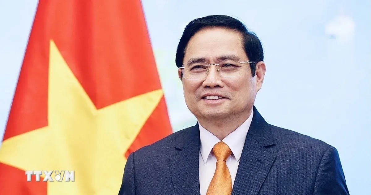 Gop phan dinh hinh tuong lai, tam nhin moi giua Viet Nam va Trung Dong-chau Phi hinh anh