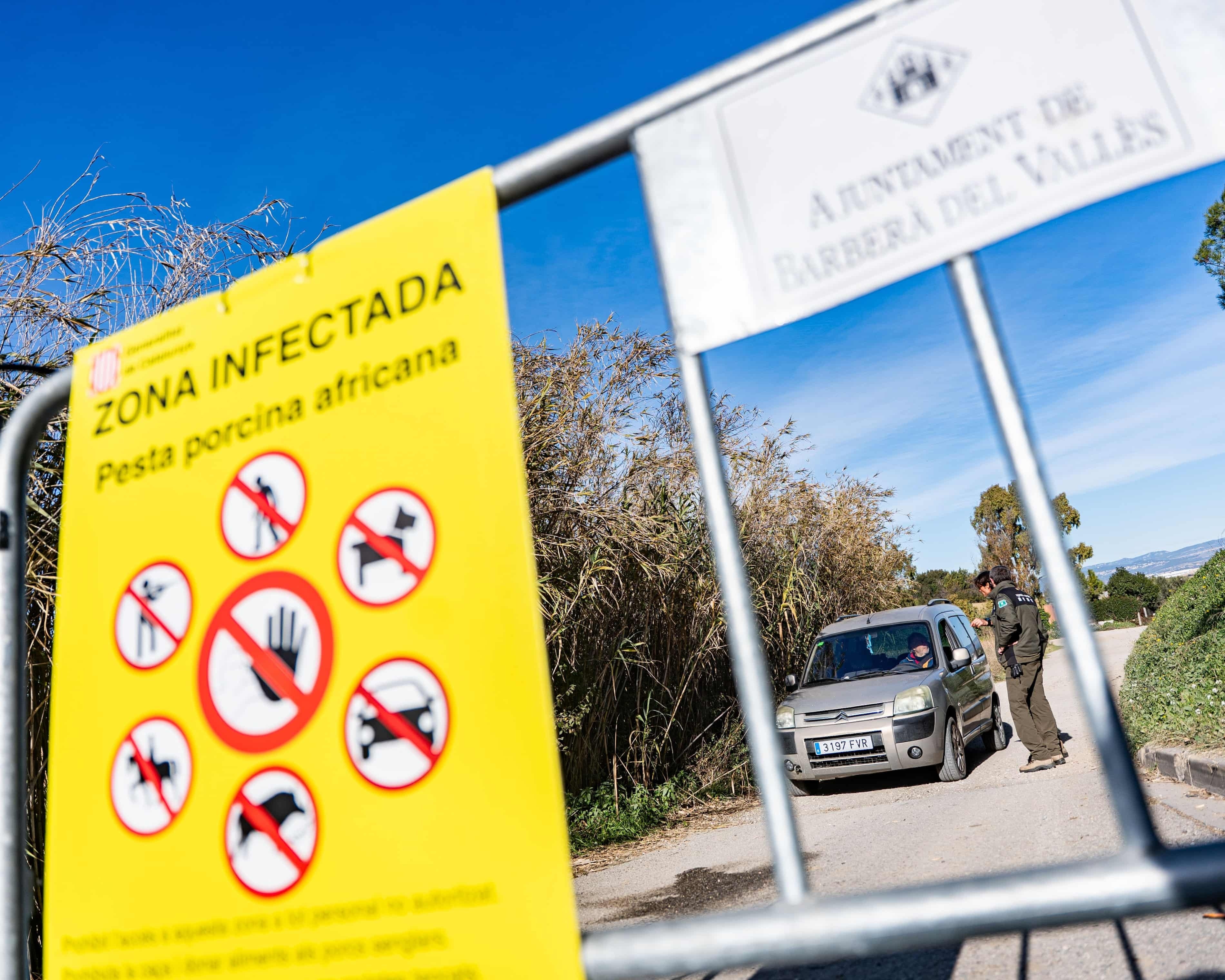 Tay Ban Nha nghi phong thi nghiem lam lay lan dich ta lon chau Phi hinh anh