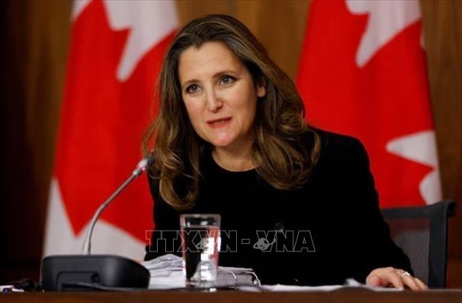 Ong Zelensky bo nhiem cuu Pho thu tuong Canada lam co van kinh te hinh anh