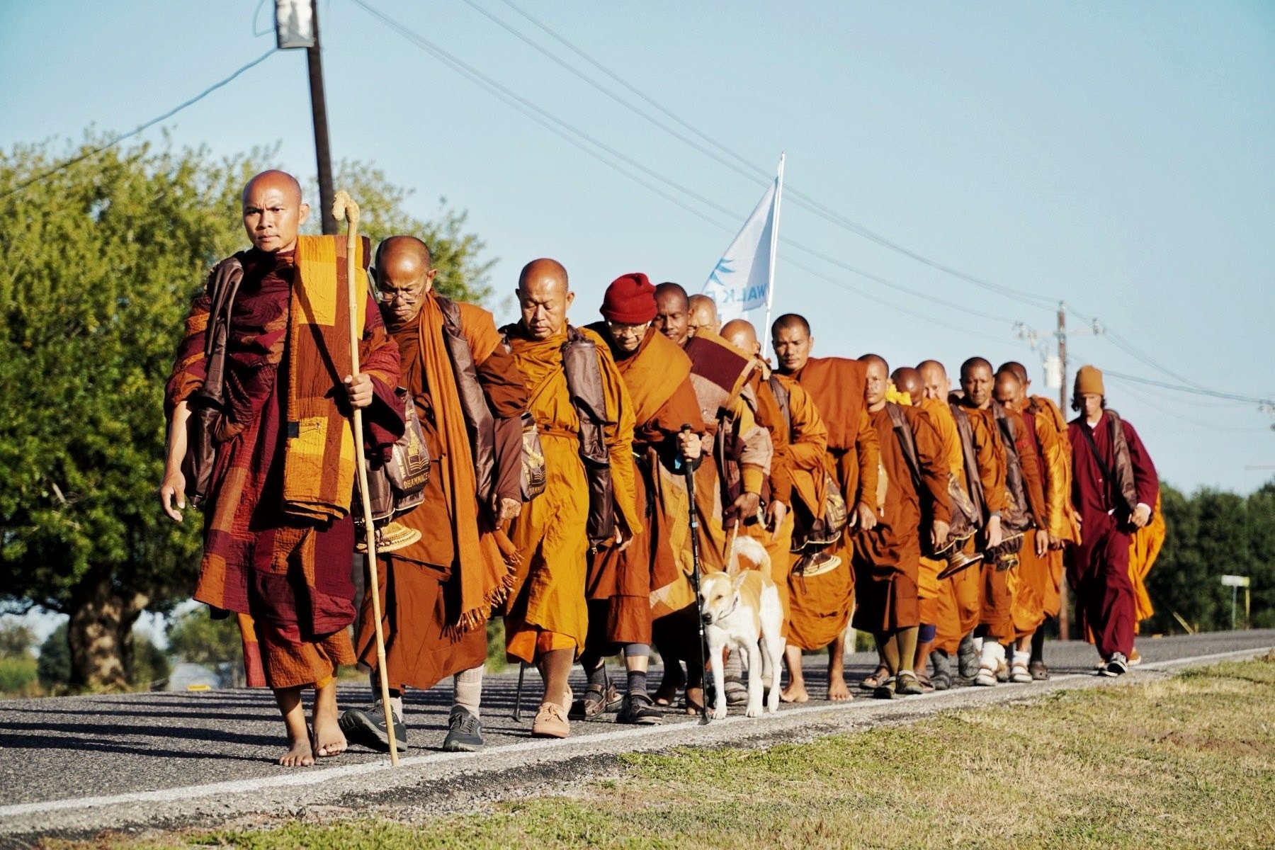 19 nha su di bo xuyen nuoc My keu goi hoa binh hinh anh
