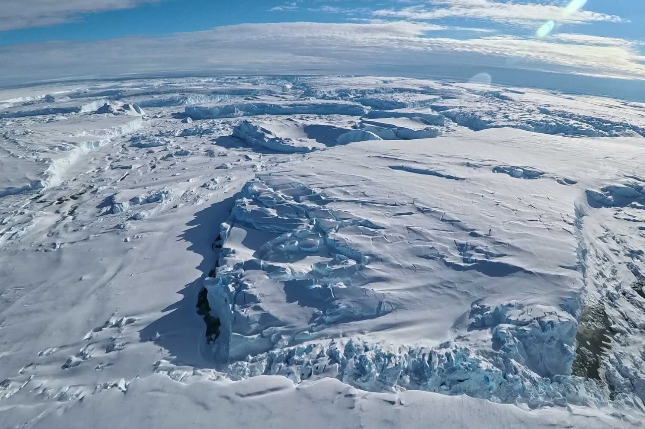 Cuoc dua sinh tu tren song bang hinh anh